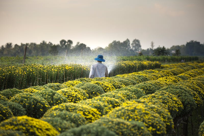 Cultivating Nature's Best Since 1995 - pg模拟器APP